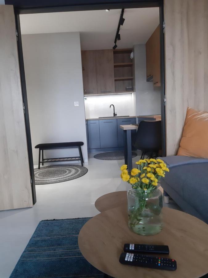 Apartament Nad Wilga 加尔沃林 外观 照片