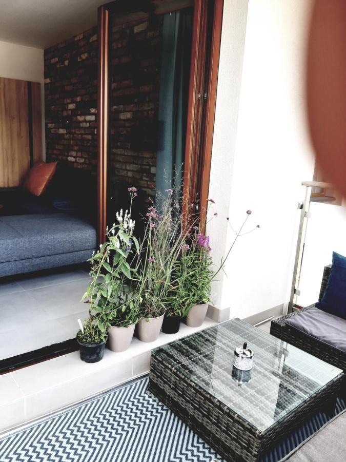 Apartament Nad Wilga 加尔沃林 外观 照片